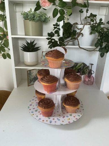 Orange Cupcakes with Chocolate and  Orange Frosting